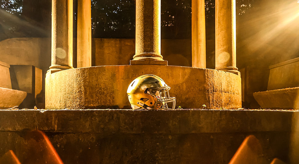 Cathedral Background Pic_edited.jpg