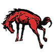 Cathedral High School Football opponent logo